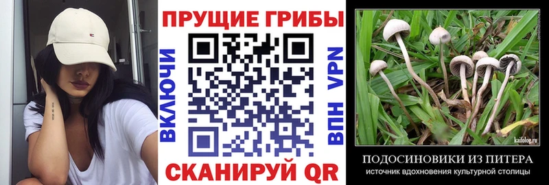 Галлюциногенные грибы мухоморы  Купить закладки  Вилючинск 
