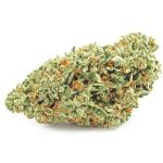 Шишки OG Kush  (Гидропоника, бошки) VHQ в Вилючинске